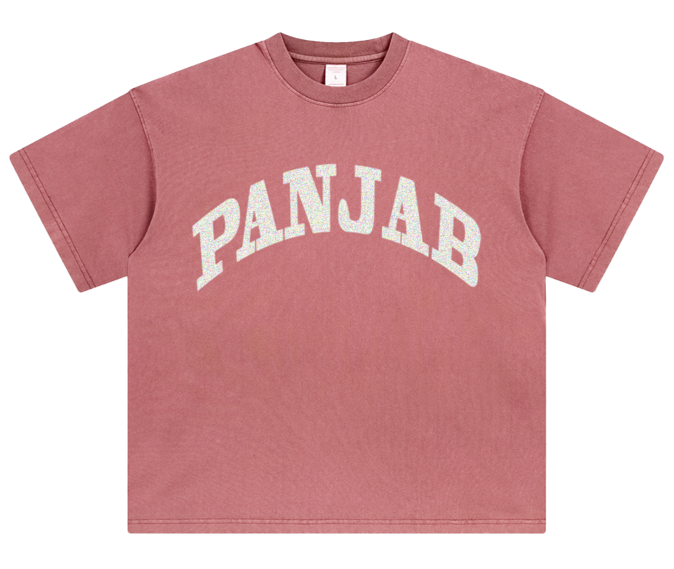 Land Of Five Rivers Oversized T-Shirt (Faded Pink)