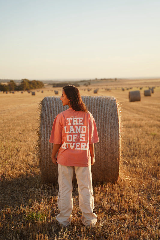 Land Of Five Rivers Oversized T-Shirt (Faded Pink)